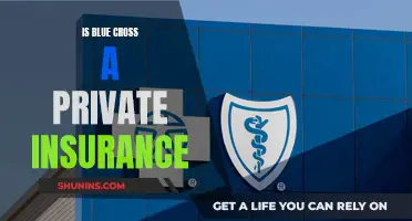 Blue Cross Insurance: Private or Public Option?