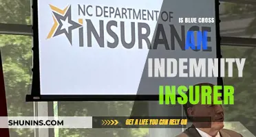 Understanding Blue Cross: Is It an Indemnity Insurer?