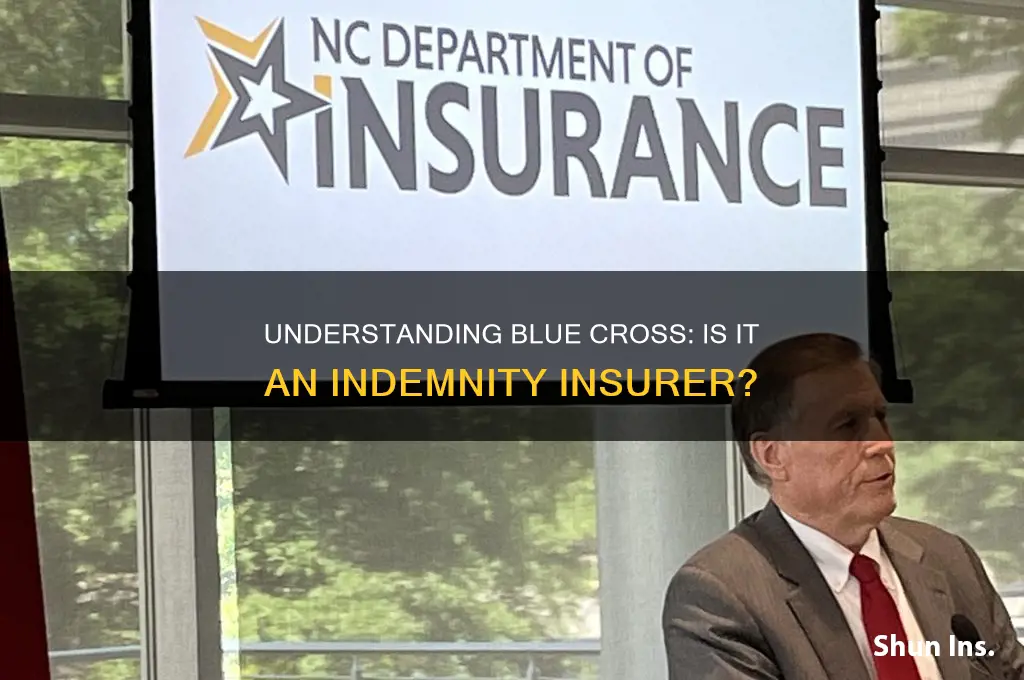 is blue cross an indemnity insurer