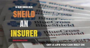 Is Blue Cross Blue Shield an Insurer? Understanding Their Role in Healthcare