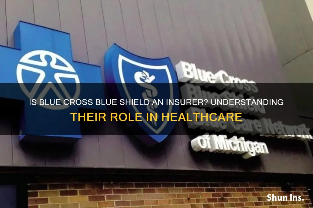 is blue cross blue sheild an insurer