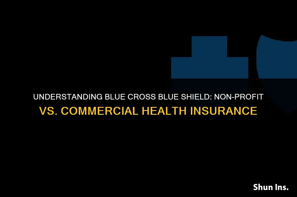 is blue cross blue shield a commercial health insurance