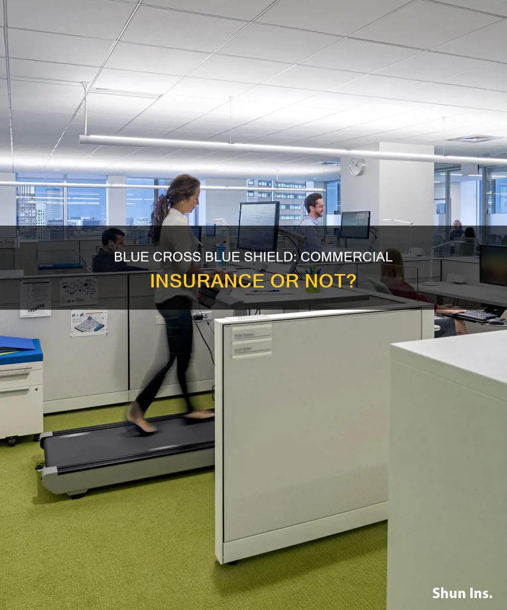 is blue cross blue shield a commercial insurance