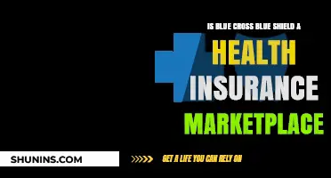 Understanding Blue Cross Blue Shield: Health Insurance Marketplace Explained