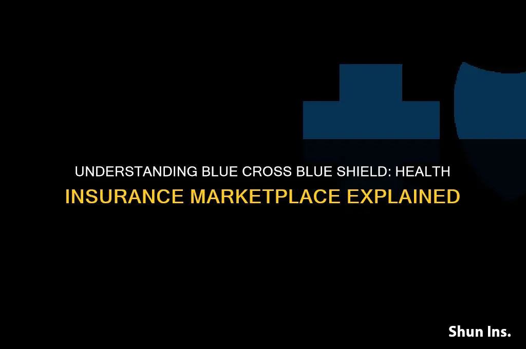 is blue cross blue shield a health insurance marketplace