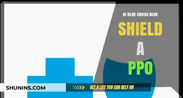 Understanding Blue Cross Blue Shield: Is It a PPO Plan?