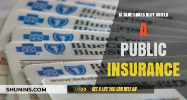 Is Blue Cross Blue Shield Public Insurance? Exploring Its Status
