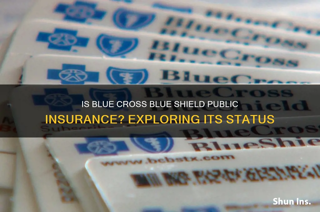 is blue cross blue shield a public insurance