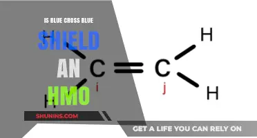 Blue Cross Blue Shield: HMO or Not?