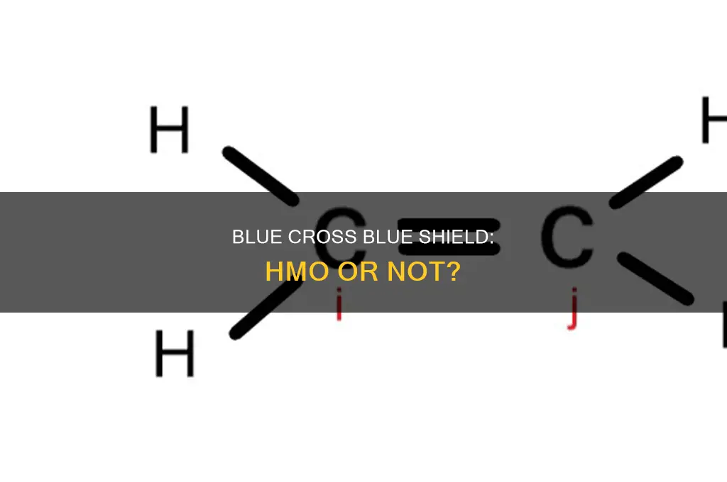 is blue cross blue shield an hmo