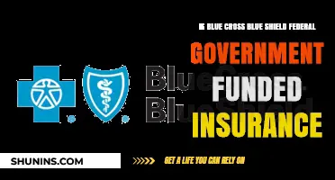 Blue Cross Blue Shield: Federal Government-Funded Insurance?