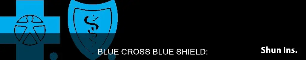 is blue cross blue shield federal government funded insurance