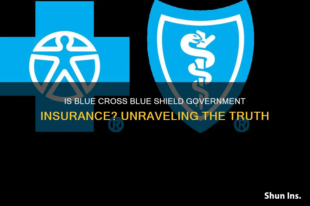 is blue cross blue shield government insurance