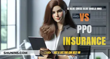 Blue Cross Blue Shield HMO vs. PPO: Which Plan Fits You Best?