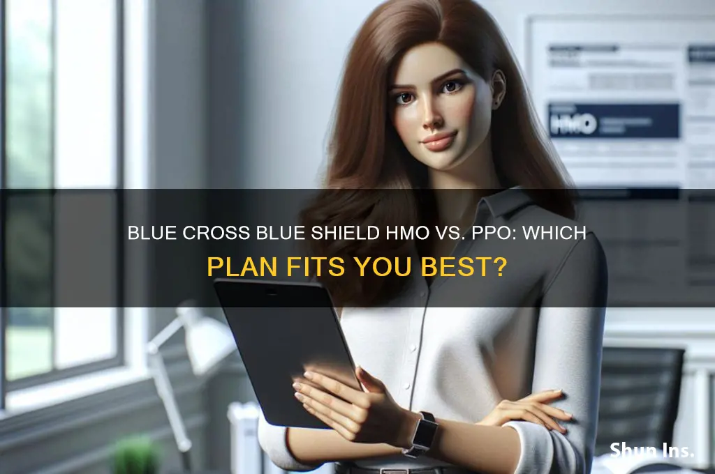 is blue cross blue shield hmo vs ppo insurance