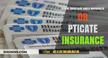 Blue Cross Blue Shield: MassHealth or Private Insurance Explained