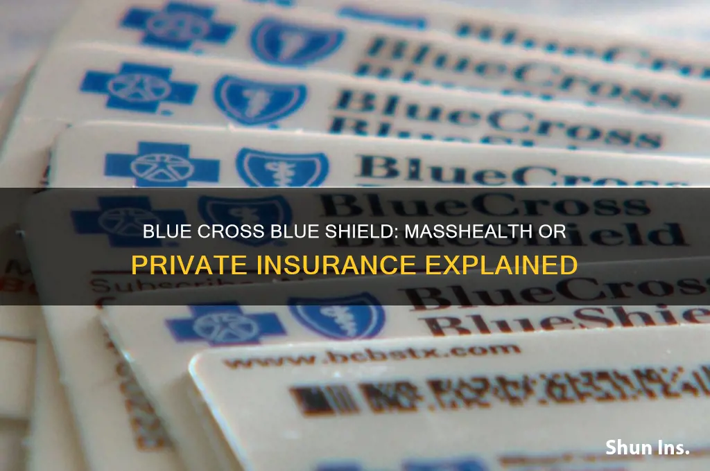 is blue cross blue shield masshealth or pticate insurance