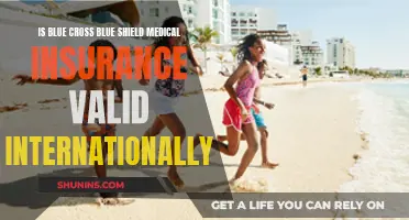 Blue Cross Blue Shield: International Medical Insurance Coverage?