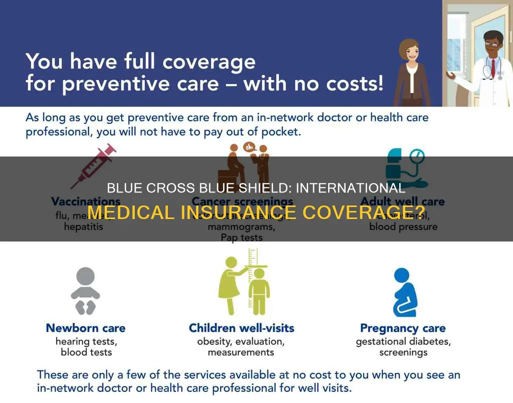 is blue cross blue shield medical insurance valid internationally