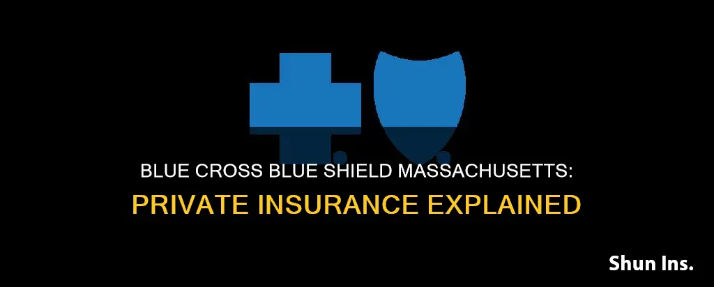 is blue cross blue shield of massachusetts private insurance