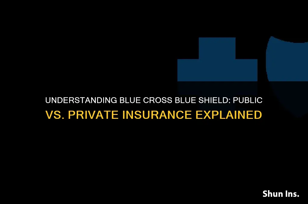 is blue cross blue shield public or private health insurance