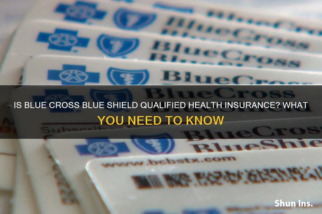 is blue cross blue shield qualified heath insurance
