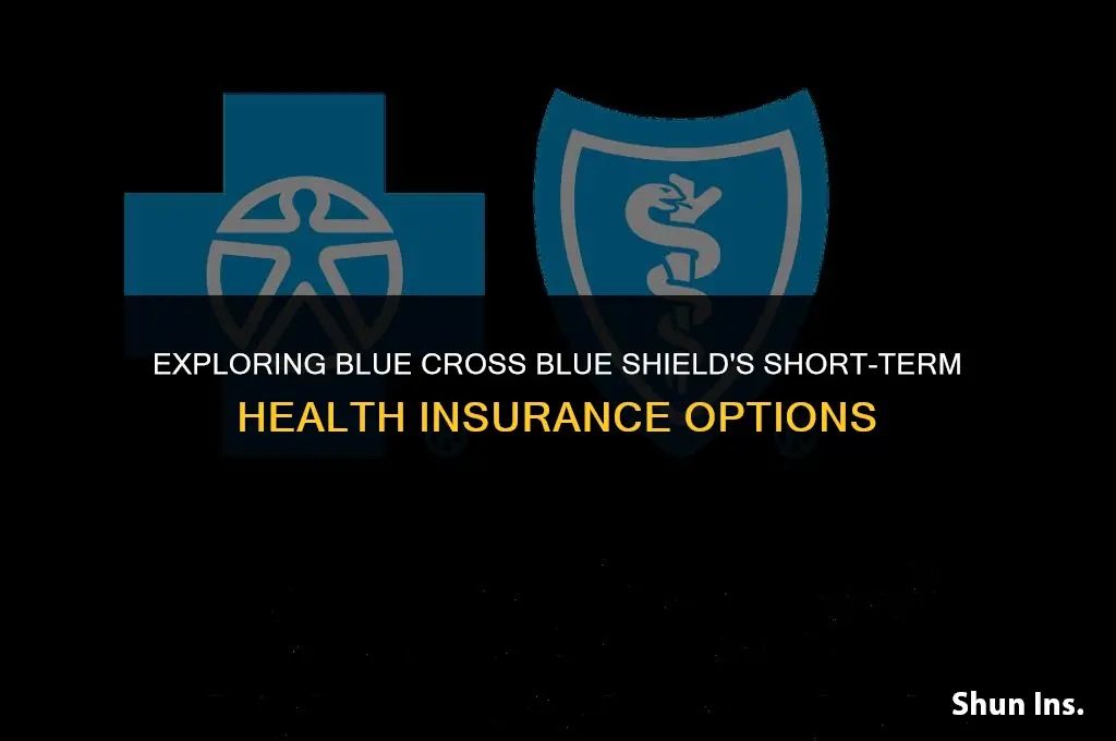 is blue cross blue shield short term health insurance