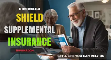Understanding Blue Cross Blue Shield Supplemental Insurance: Benefits and Coverage