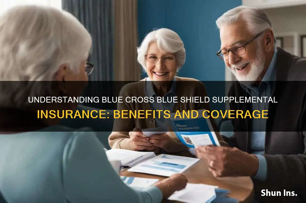 is blue cross blue shield supplemental insurance