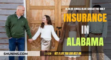 Exploring Alabama's Insurance Options: Is Blue Cross Blue Shield Alone?