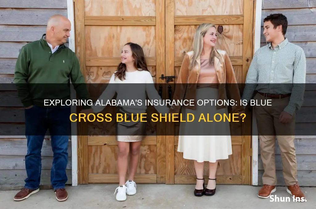 is blue cross blue shield the only insurance in alabama