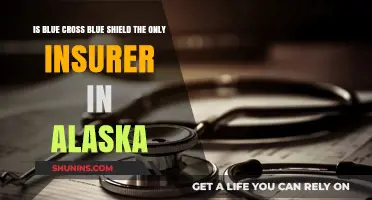 Is Blue Cross Blue Shield Alaska's Sole Health Insurance Provider?