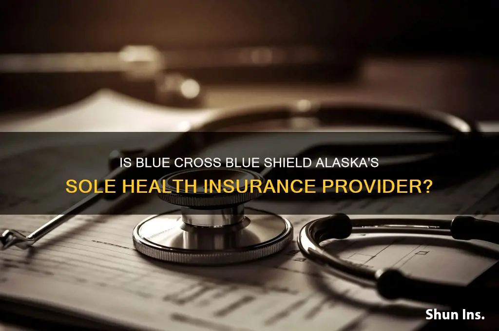 is blue cross blue shield the only insurer in alaska