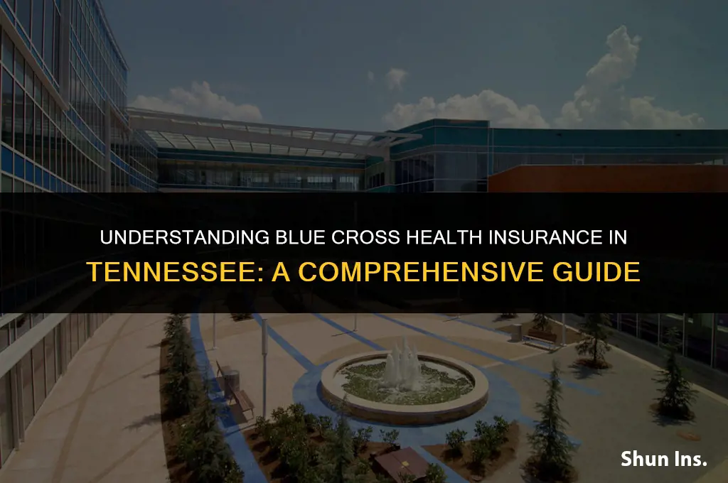 is blue cross health insurance in tenn