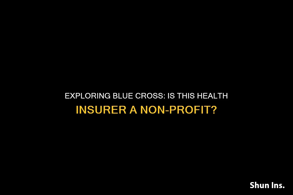 is blue cross health insurance non profit organization