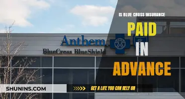 Understanding Blue Cross Insurance: Prepaid Plans and Payment Options Explained