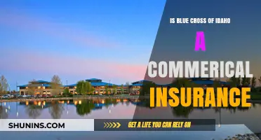 Is Blue Cross of Idaho Commercial Insurance? Understanding Your Coverage Options