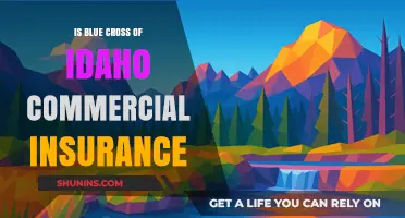 Idaho's Blue Cross: Commercial Insurance Benefits