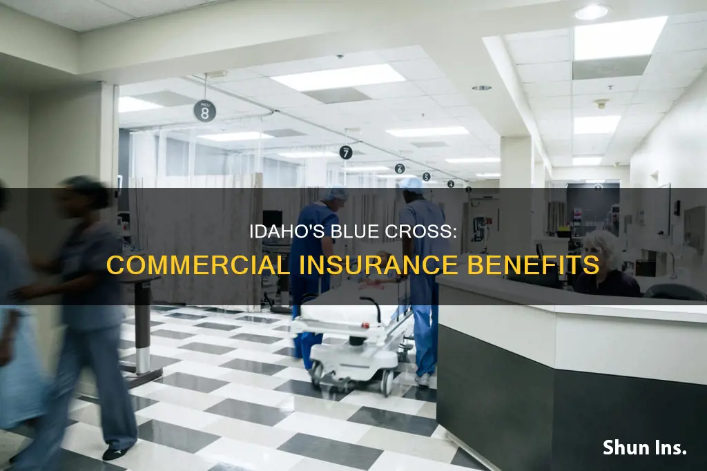 is blue cross of idaho commercial insurance