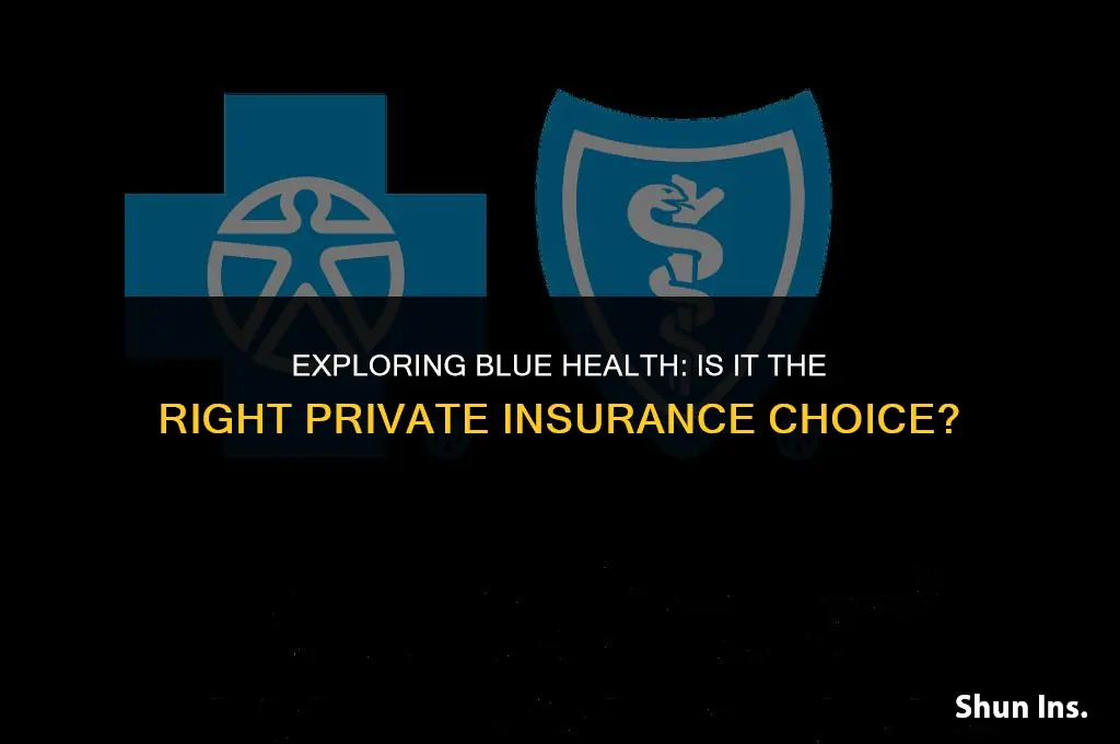 is blue health private insurance