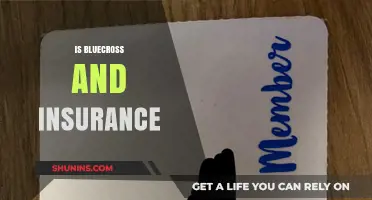 Understanding BlueCross: Is It the Right Insurance for Your Needs?