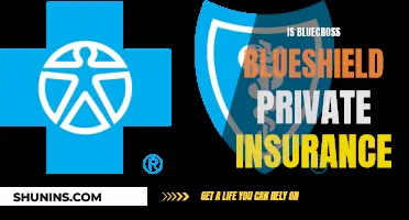 BlueCross BlueShield: Understanding Private Insurance Options