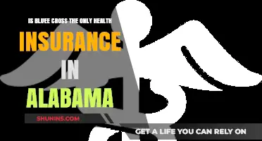 Exploring Health Insurance Options in Alabama: Beyond Blue Cross