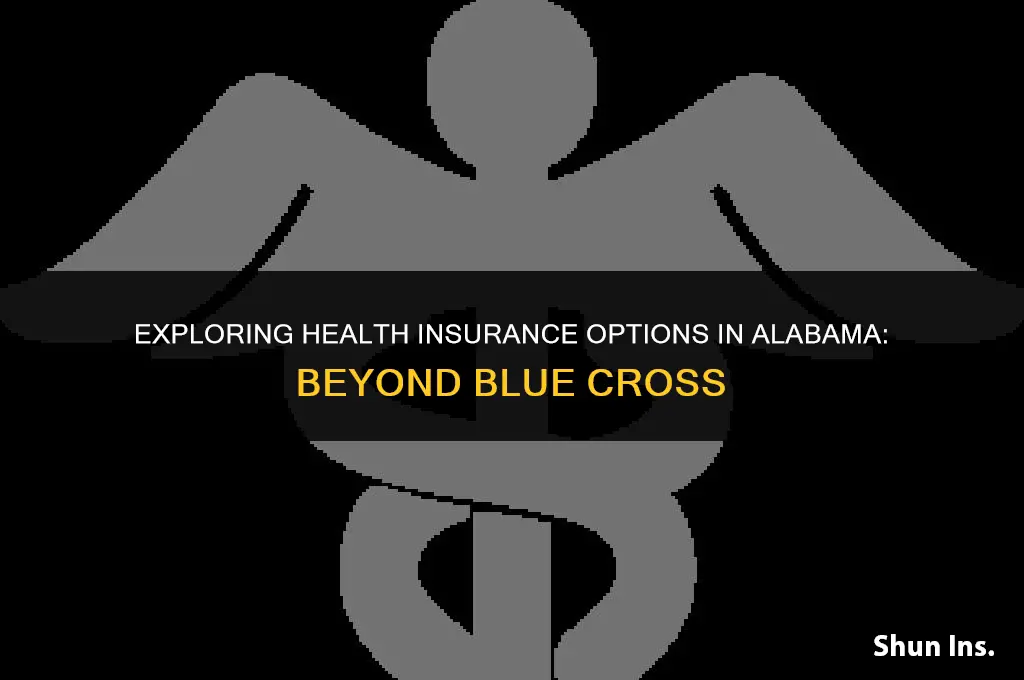 is bluee cross the only health insurance in alabama