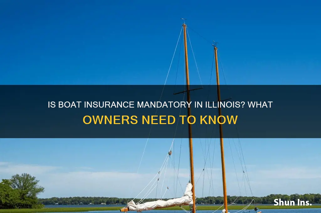 is boat insurance mandatory in illinois
