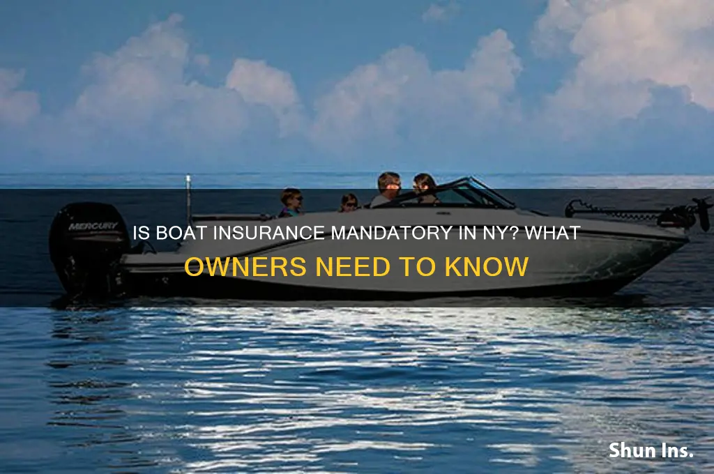 is boat insurance mandatory in ny