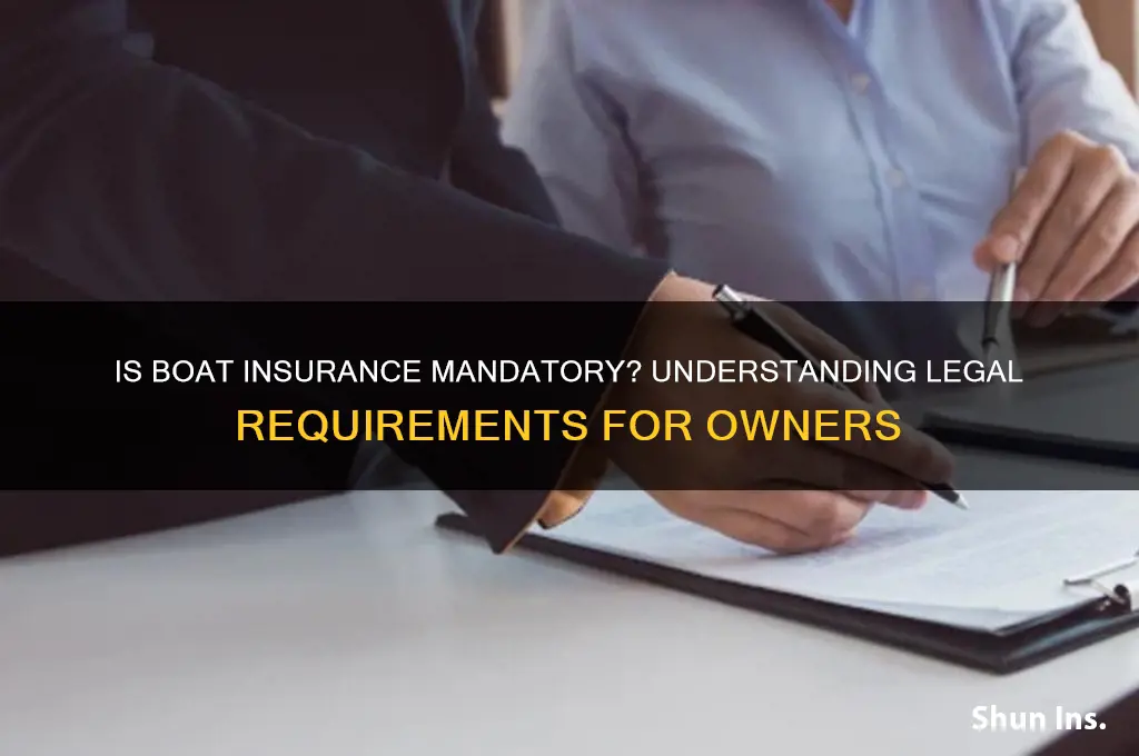 is boat insurance mandatory