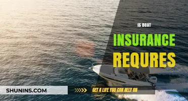Is Boat Insurance Required? Understanding Legal and Practical Necessities