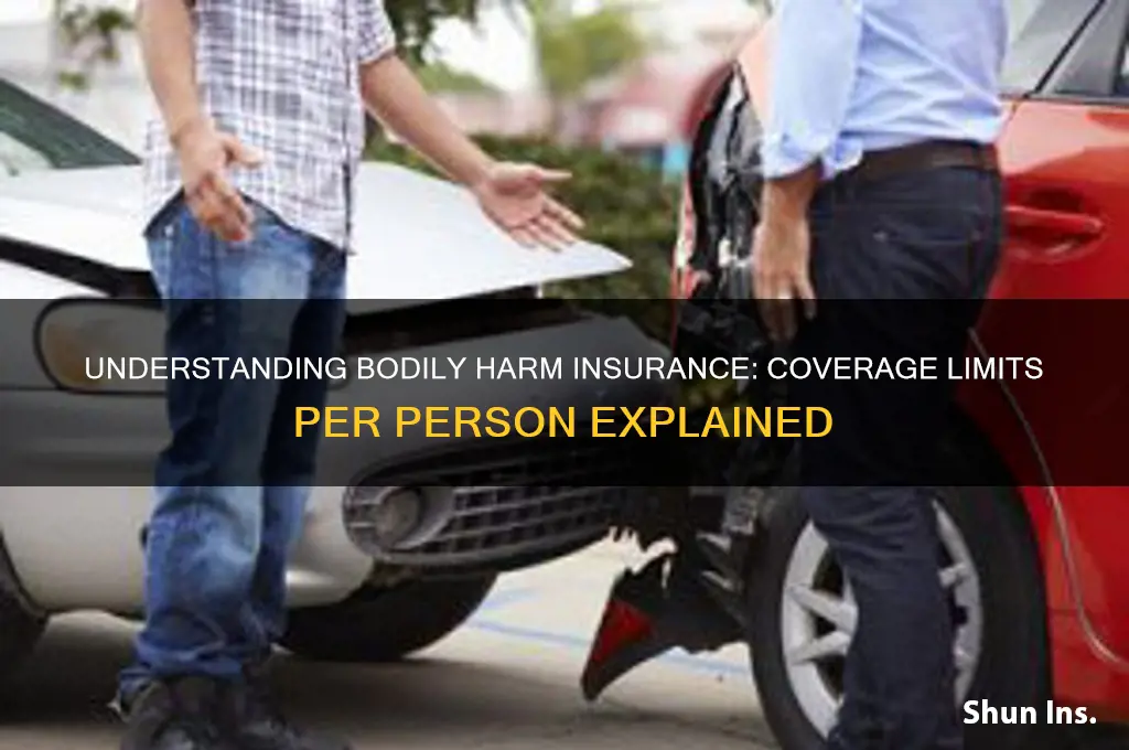 is bodily harm insurance per person