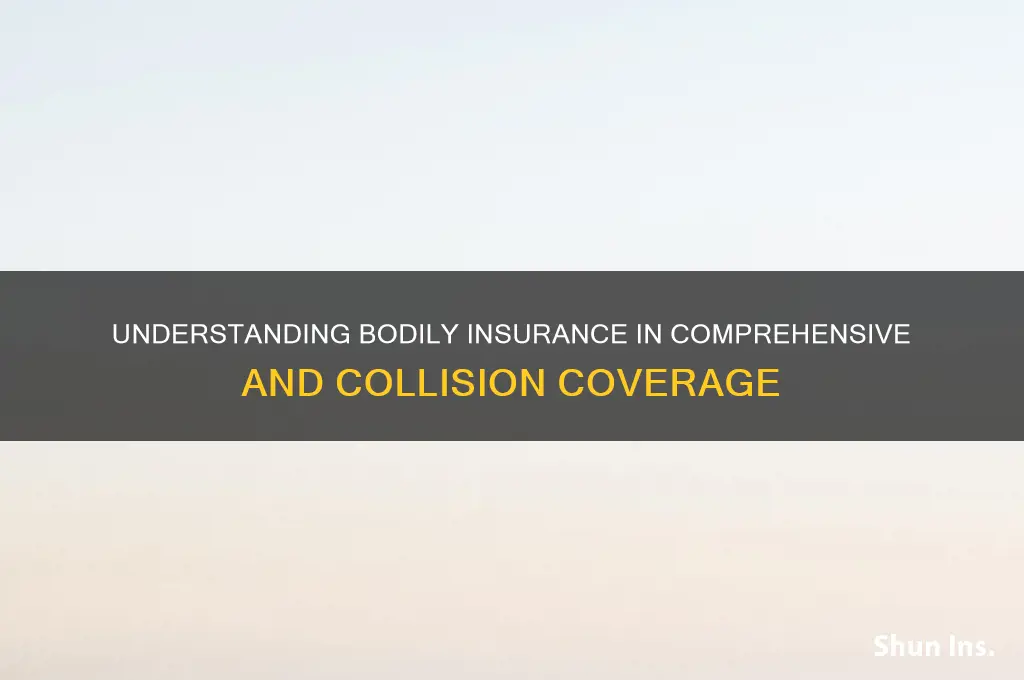 is bodily insurance part of comprehensive and collision